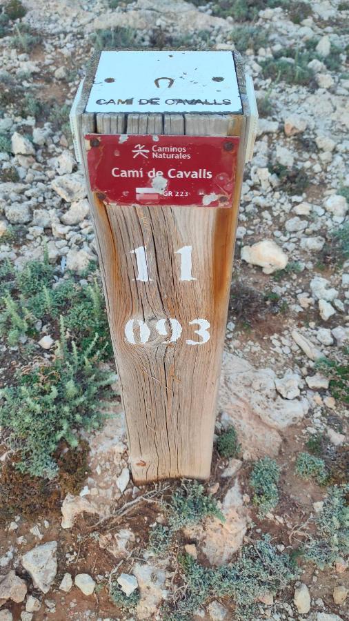Ferienwohnung Addaia Coves Noves Playa Arenal D'En Castell Es Mercadal Exterior foto